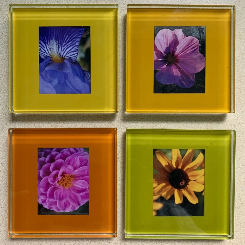 Crate & Barrel Swing set of 4 photo coasters